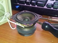 CameraZOOM-20130131221621191.jpg
