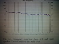 Fig 12.jpg