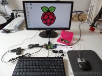 Raspberry03.jpg