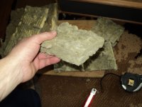 DSC00614.jpg