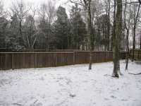 IMG_0563.JPG