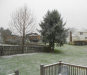 Snow.JPG
