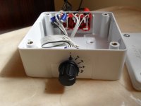 switch (Copy).JPG