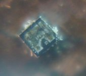 J202_1web.jpg