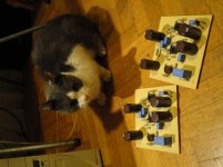 DSC00586.JPG