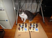 DSC00588.JPG
