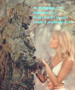 swampengineer1.gif