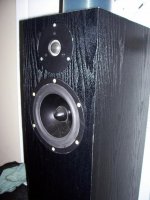 diyaudio3.jpg