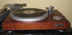 microseikidq-50.jpg