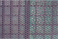 Safety_Mesh.gif