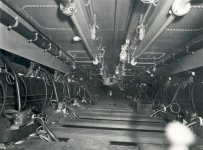 Dolfijn-5.jpg