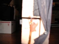 P1010021.JPG