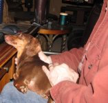 IMG_0570.JPG