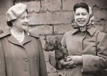 Queen Elizabeth II with Dachshund.jpg