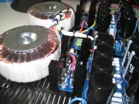 closeup psu.JPG