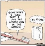 Toilet paper - talking to toothbrush.jpg