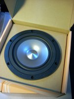 A10 wide bass-3.jpg