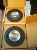 A10 wide bass-5.jpg