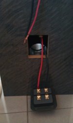 IMAG1231-1.jpg