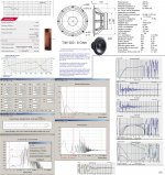 TIW 300 - 8 Ohm.JPG