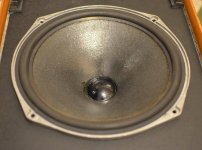 Celestion Ditton 44 Bad LF Driver 3730.jpg