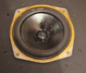 Celestion Ditton 44 bad MF Driver 3731.jpg
