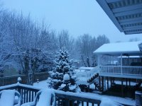 20121229_074632.jpeg