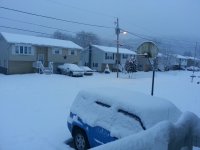 20121229_074834.jpeg