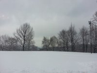 20121229_155018.jpeg