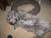 Picture 008.jpg