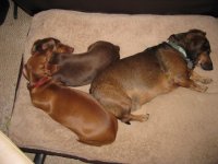 Picture 004.jpg