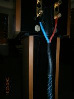 Finished CAT5.JPG