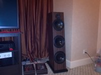 IMG_20130317_172046-494260874.jpg