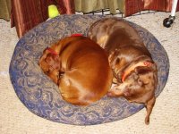 IMG_0629.JPG