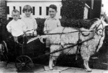 goat cart.jpg
