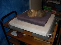 DSCN1789.jpg