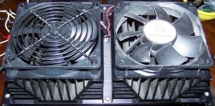 Fan Layout.jpg