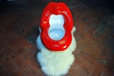 Toilet exhibition 2.jpg