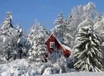 x-winter.jpg