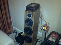 IMG_20130306_215001-1705053578.jpg