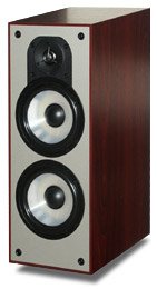 paradigm_monitor5_nogrille.jpg