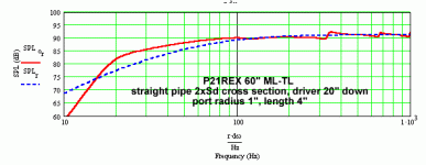 p21sub.gif.gif