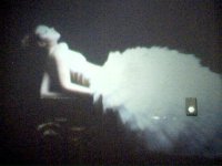 pic1.jpg