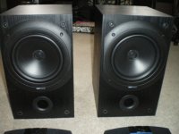 Kef Q10.JPG