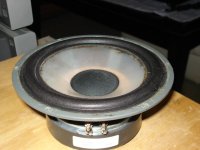 DSC04075.JPG