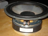 DSC04072.jpg