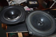 DSC_0015.jpg
