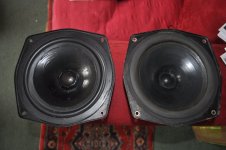 DSC_0016.jpg