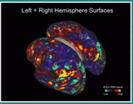 The Human Connectome Project - Relating Brain Circuits to Behavior.gif