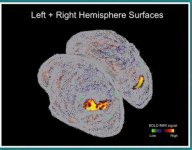 Brain Activity Map - for c2c.JPG